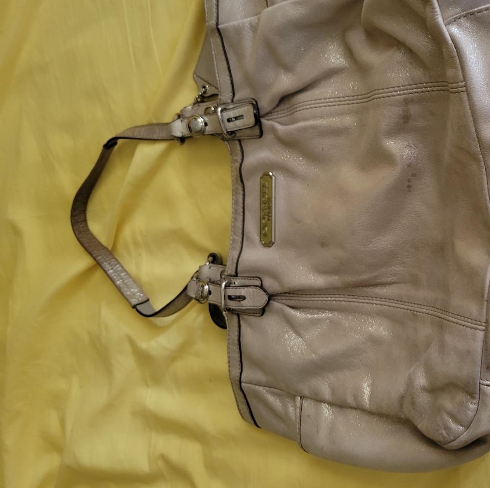 Coach bag with small spot noted